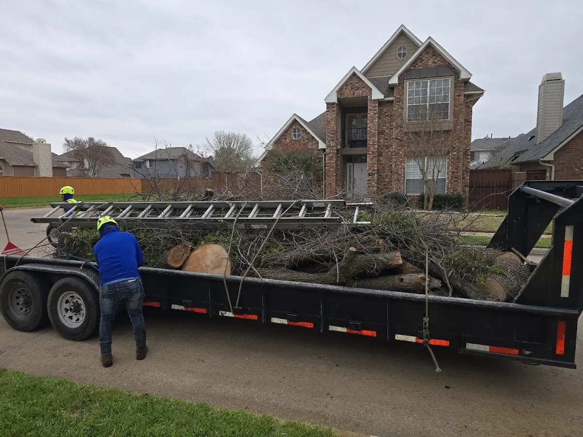 Expert Lot Clearing with proper safety equipment in Missouri City